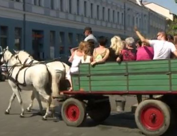 Szekérre, Tirpák! – Családi délutánt szervezett a Nyíregyházi Városvédő Egyesület
