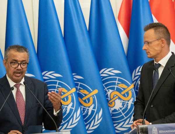 A WHO főigazgatója szerint sikeres a magyar védekezés       