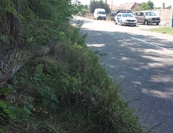 Balesetveszélyes faágat jelentettek Oros és Nyírpazony között 