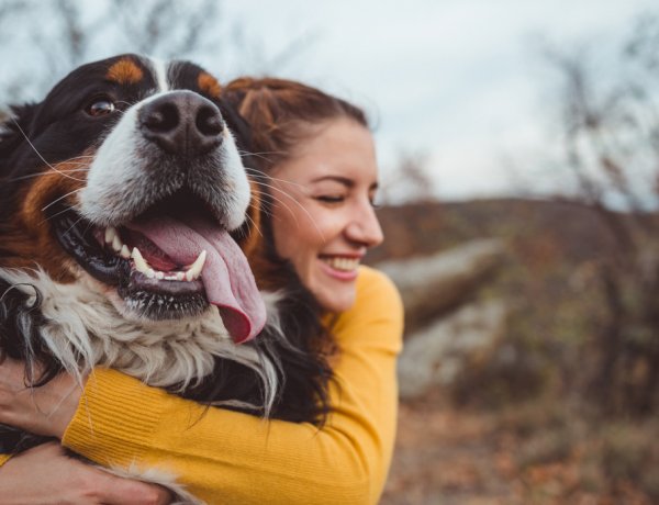 Úgy kötődik a kutya a gazdájához, mint gyerek az anyjához           