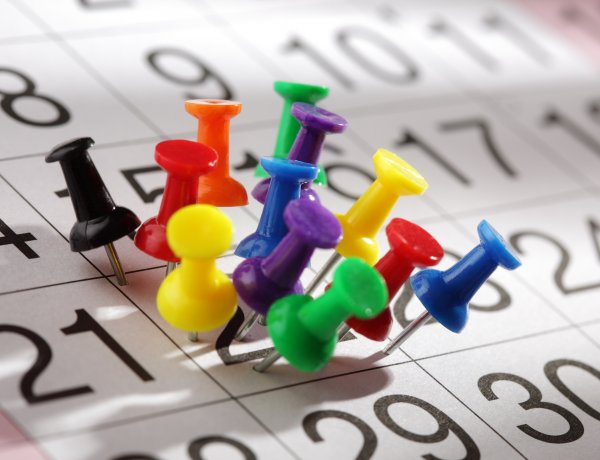 Közeleg a II. félévi adóbefizetési határidő                         