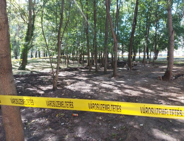 A Nefelejcs és a Mák utca között a NYÍRVV munkatársai lekerítették a kiserdő egy részét