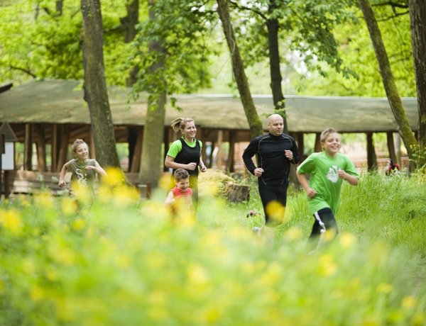 „Egy a Természettel” -NYÍRERDŐ Nap a Sóstói-erdőben, az Erdei Tornapályánál