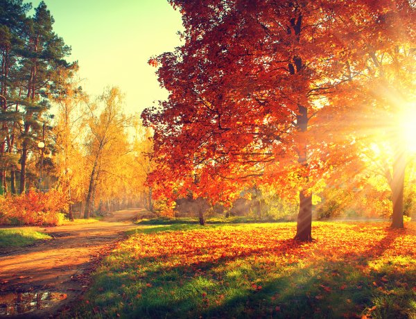 Maradó aggodalmak és részbeni egyetértés a Zöld Akciócsoportnál