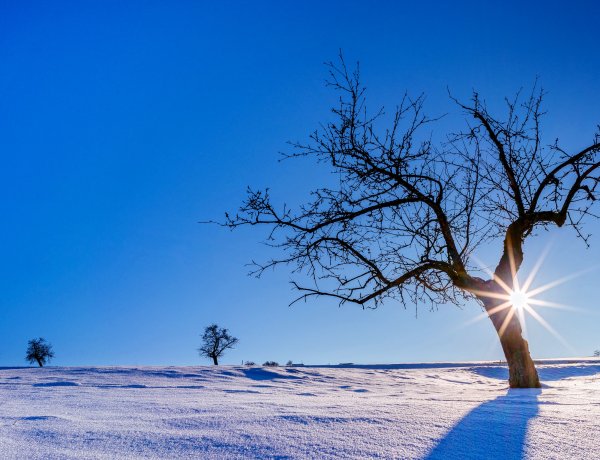 Kemény telünk lesz, fehér karácsonnyal? - Ezekre a kérdésekre kerestük a választ