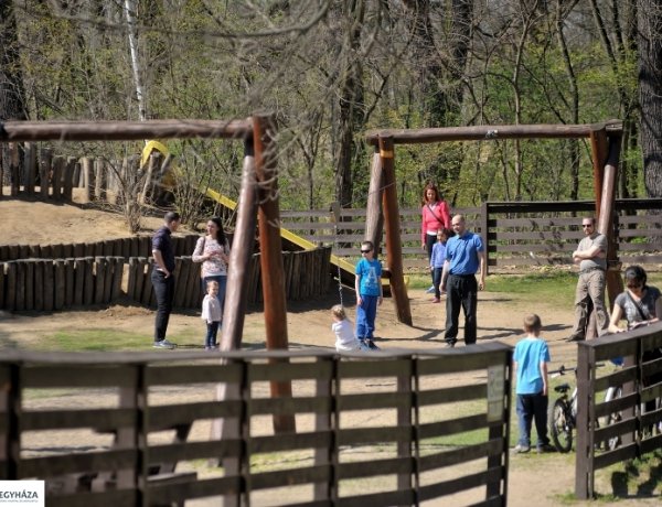 Futóverseny, vadászati bemutató és madárgyűrűzés is lesz az idei Nyírerdő Napon