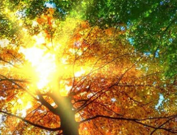 Időjárás: Esős kezdés után visszakacsint az indián nyár     