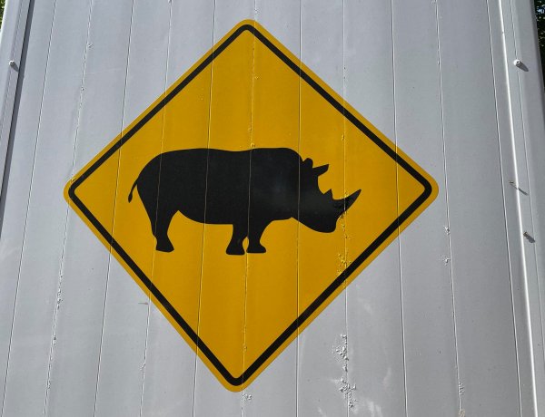 Ma van az Orrszarvúak Világnapja – A Nyíregyházi Állatpark izgalmas bejegyzést tett közzé