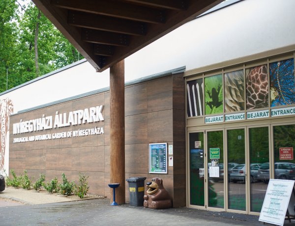 Idősek Világnapja – A Nyíregyházi Állatparkba várják a szépkorúakat szerdán