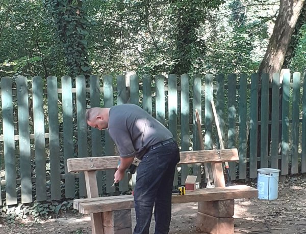 Újul, szépül a Sóstói Parkerdő                                                            