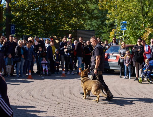 Nyíregyházi Állatpark – Kedvezményes belépés az Állatok Világnapján