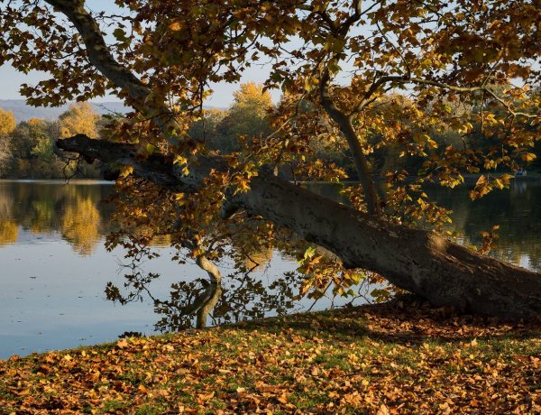Ma még megúszhatjuk, de szerdától bekopog az ősz                 