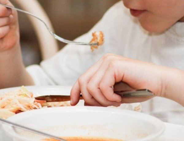 Tájékoztatás az őszi gyermekétkeztetés igénybevételéről                     