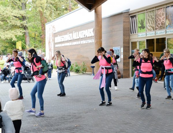 Babahordozó hét – A Nyíregyházi Babaklub 12 éve szervezi meg az eseményt