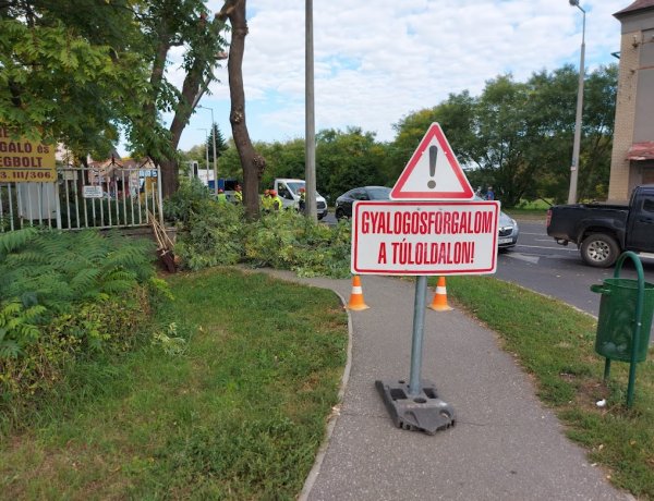 Kedd reggel megkezdődött a Bocskai utcán a fák gallyazása, forgalomkorlátozás mellett