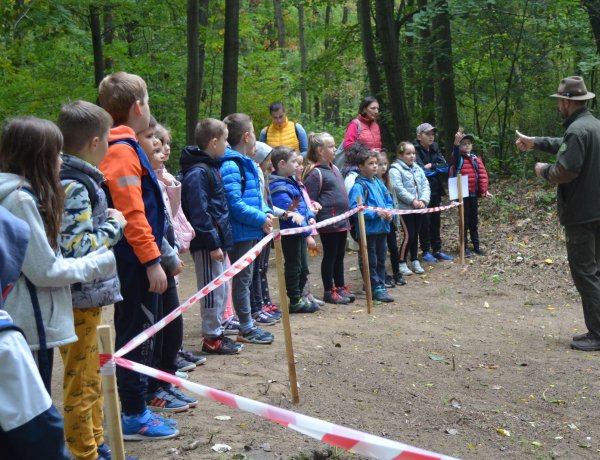 Gyerekek százai fedezték fel a nyíregyházi erdőt                   