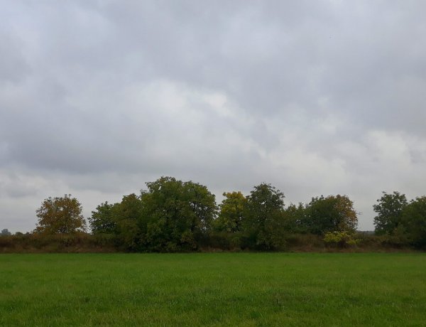 A szürke számos árnyalata mutatkozik be hétfőn                