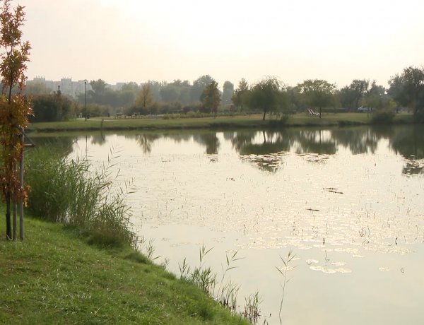Haltelepítés volt szerda reggel a Bujtoson – 1200 kg pontyot telepített a halászati kft.