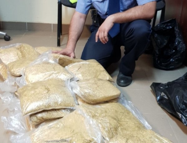 Ismeretlen eredetű vágott dohányt szállított                        