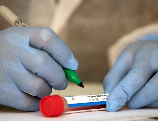 Kormányzati portál: Több antigéngyorsteszt végezhető                                     