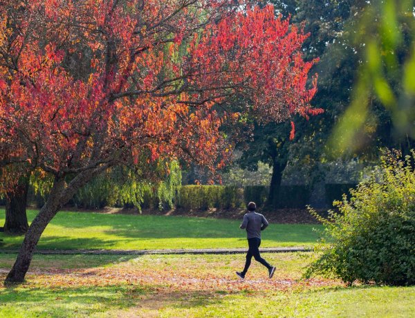 Ma is otthon hagyhatjuk az esernyőket                                              