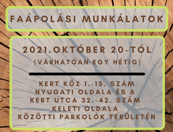Faápolási munkálatokat végez október 20-tól a NYÍRVV a Kert közben