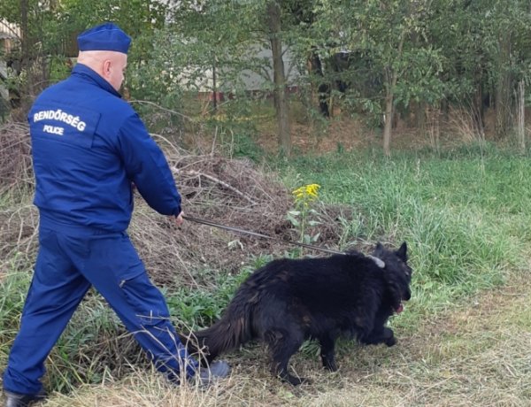 Üstök az elkövető házáig ment                                               