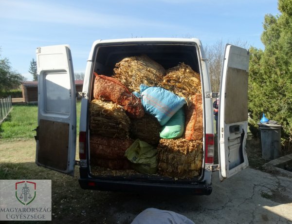 Vádemelés az illegális dohányfeldolgozó működtetése miatt                                 