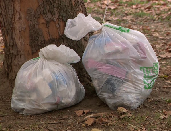 TeSzedd – Jósaváros is csatlakozott a hulladékgyűjtő akcióhoz             