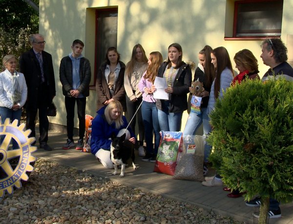 Jótékonykodott a Rotary InterAct Club – Az Állatbarát Alapítványnak gyűjtöttek a fiatalok