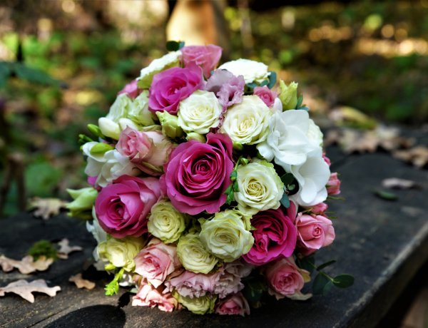 Szeretne még az idén házasságot kötni?-Akciót hirdet a hivatal a szándék bejelentésére 