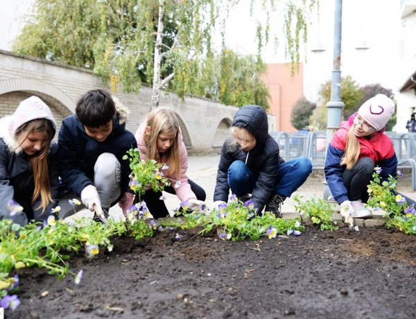 Hatalmas virágoskert lesz a város                                            