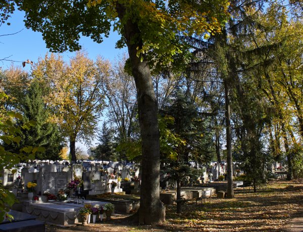 Szombattól már este nyolc óráig lesz nyitva az Északi Temető!