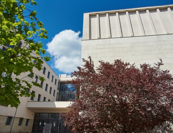 Nemzetköziesítés az egyetemen: 17 ország vendégei Nyíregyházán 