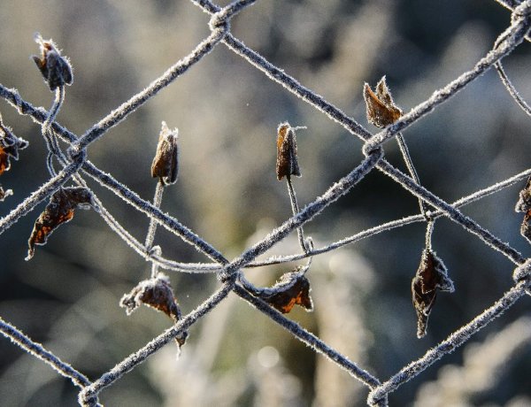 A csípős hajnalok jelzik már, hogy közel a november          