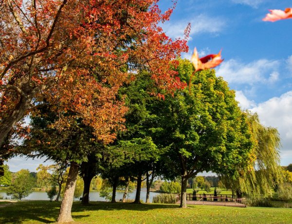 Békés lesz az időjárás október utolsó napjaiban                            