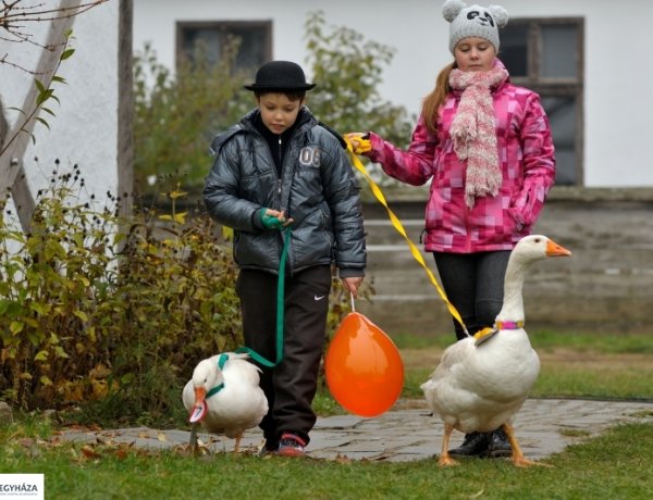 Programokban gazdag ősz a Sóstói Múzeumfaluban – Már a Márton-napra készülnek