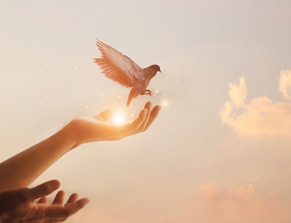 Gyász: végig kell sírni az utat és beengedni a fájdalmat     