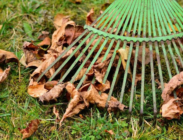 November végéig elviszik a zöldhulladékot, plusz egy zsákot is ki lehet tenni 