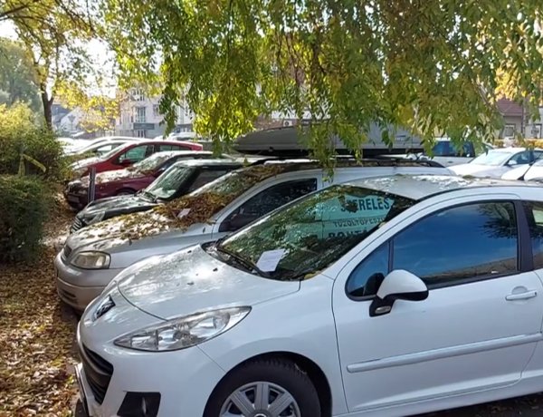 Csütörtökön faápolási, gallyazási munkálatokat végeznek a Szegfű utca 54. szám Liszt Ferenc utcai oldalán