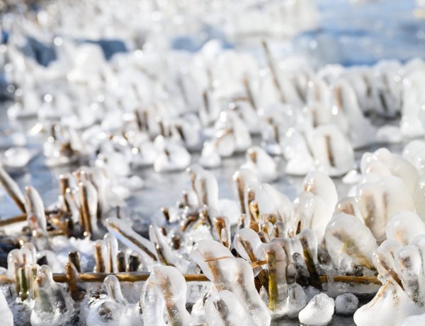 Érkeznek a mínuszok a hétvégére