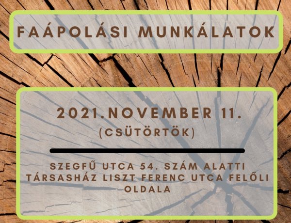 Elmaradt gallyazási munkálatokat pótol a NYÍRVV a Szegfű utca 54. szám alatt