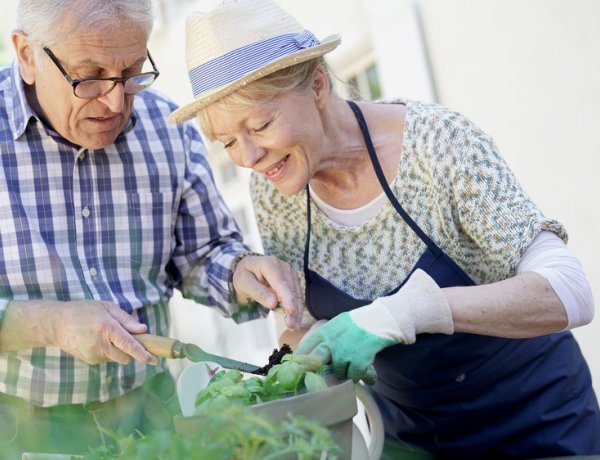 Csütörtöktől kézbesítik a nyugdíjprémiumot és a nyugdíj-kiegészítést