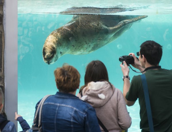 Nyíregyházi Állatpark: egy hét alatt húszezer látogató                     