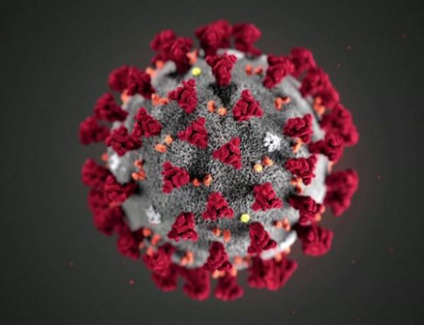 Egy covidos család naplója- üzenet a karanténból!