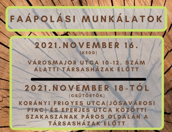 Faápolási munkálatokat végez november 18-tól a NYÍRVV a Korányi és Eperjes utcák közötti szakaszon