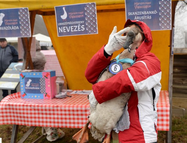 Libaszépségverseny, libás ételek kóstolója, újbor, tánc és muzsika – Márton-nap a skanzenben