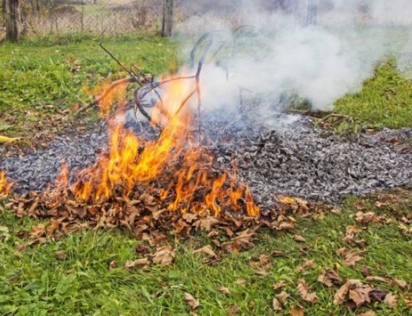 Gyermekek védelme a levegőtisztaság javításával - Avagy: tudjuk, de mégsem tesszük?                        