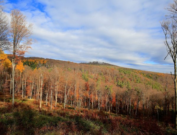 A veszélyjelzés ma elmarad, az ország nagy részén napos idő várható