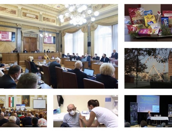 Hírösszefoglaló: közgyűlés, fejlesztések, Szindbád, karácsonyi csomag, forgatag és oltási akcióhét